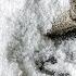 5 Reasons Why You Need More Salt In Diet Dr Berg On Salt Intake