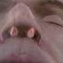 What Causes A Stuffy Nose