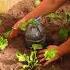 Turning Rivalry Into Friendship Epic Garden Overhaul