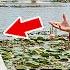 HOA Drained My Villa Pond While I Was In Israel So My Squad Canceled Their Bridge Deal