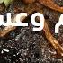Meat With Honey Saudi Fusion With LG