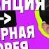 Дуров метит в Белый дом Нарезка