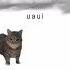 LALALA OIIAOIIA Cats Memes Meme Oiiaoiia Lalala Funny