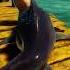 Get In The Water Maneater