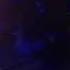 Queen A Night At The Odeon Hammersmith Bring Back That Leroy Brown Live In London