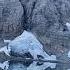 Numa To Floe Loop Grizzly Encounter Kootenay Day Hikes Best Hike In BC Hiking With Kids