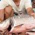 Giant Catla Fish Cutting EP 20 Fisheries Shorts