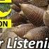 LIFE 2nd Edition Unit 10 PRODUCTS Audio For Listening Level A2 B1 Pre Intermediate