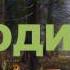 ТАМ ЛЕШИЙ БРОДИТ Фото Дм Асеева Москва музыка Сергей Рахманинов Симфонические танцы