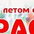 Караоке В лесу родилась ёлочка Русская Народная Новогодняя Песня