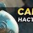 САРДАУКАРЫ Вы Даже Не Представляете Кем Они Были На САМОМ ДЕЛЕ Дюна