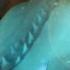 360 Great Hammerhead Shark Encounter National Geographic