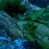 Far Cry 3 Black Panther Rare Animal 4