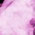 BOg Nuit Original Mix Rose B Selection
