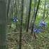 You Can Walk Through This Drone Swarm Without Collisions