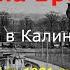 1981 07 Машина Времени концерт в Калининграде