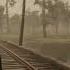 Catching The Legendary Sturgeon From St Denis Railway Line