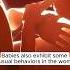 What BABY Does In WOMB Weird Wonderful