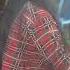 Burma Burmese Beauty Where Silky Strands Meet Timeless Grace