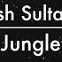 Tash Sultana Jungle Lyrics