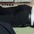 ЗАДЕРЖАНИЕ СОТРУДНИКОВ МРЭО ГОРОД САЛЬСК ВИДЕО ФСБ