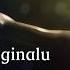 Mswa Iyal Ginnalu 何等的愛 敬拜歌詞MV