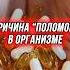 Обратите внимание на свое дыхание например когда смотрите телевизор читаете книгу Как вы дышите