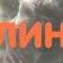 Алина моя принцесса