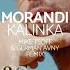 MORANDI Kalinka Remix музыка для МАШИНЫ