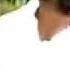 Kelly Price As We Lay