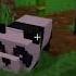 Baby Panda Minecraft Shorts