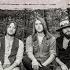 FIRST TIME HEARING WHISKEY MYERS STONE REACTION
