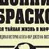 Донни Браско моя тайная жизнь в мафии Правдивая история агента ФБР Джозефа Пистоне