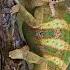 Chameleon Sound