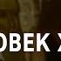ACADEMIA Валентин Янин Человек XIII века Канал Культура