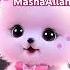 Muhammad Nabina Muhammad Nabina Cats Naat Ringtone Shorts