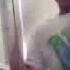 Orivere S Webcam Video May 15 2010 05 21 AM