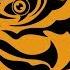 Eye Of The Tiger Guitar Violin Cover