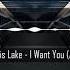 Chris Lake I Want You Andre Longo Bootleg DD MUSIC