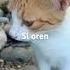 Si Oren