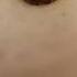 Cute Tree Frog Cute Animal