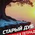 Волшебная тетрадь Старый дуб Песня о жизни Баллада сл Руслан Ходяков песня музыка топ дуб