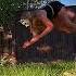Help Urself Antizoo Notatherian Quadrobics Quads
