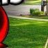 10 Mistakes Beginners Make Leveling Their Lawn
