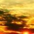 Trance Feeling 1