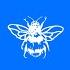 Mojana Original Mix