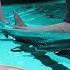 IMPOSIBLE ESCAPAR DEL TIBURÓN Sharks And Minnows