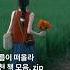 𝗙𝗶𝗳𝘁𝘆𝗯𝗼𝗼𝗸𝘀 𝗖𝘂𝗿𝗮𝘁𝗶𝗼𝗻 여름이 떠오르는 추천 책 모음 Zip 책추천 여름 여름이었다 책스타그램 연남동서점 독립서점 서점투어