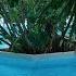 Luxury Panan Krabi Resort In A Great Location