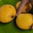 Mango Juice Mango Shorts Juice